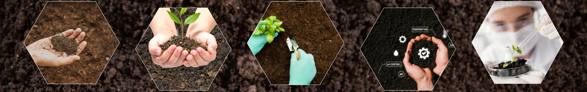 Image of first carousel