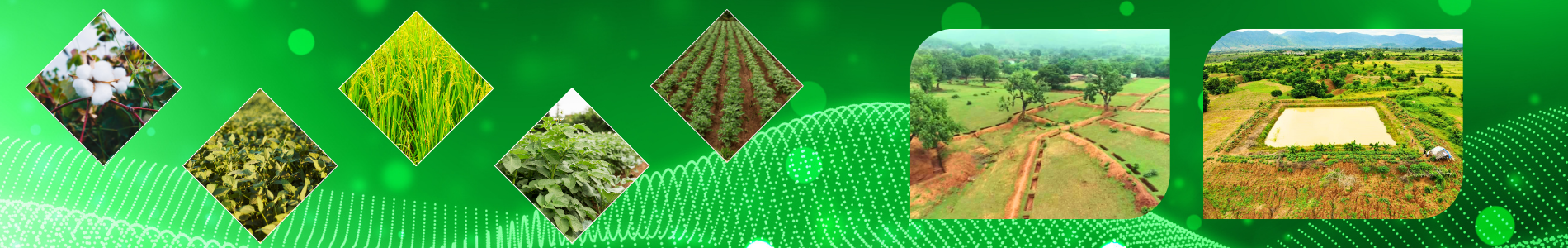 Image of first carousel